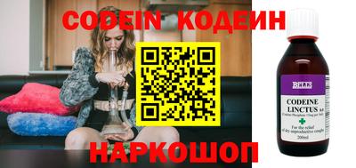индика Сланцы