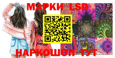 индика Сланцы