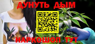 индика Сланцы