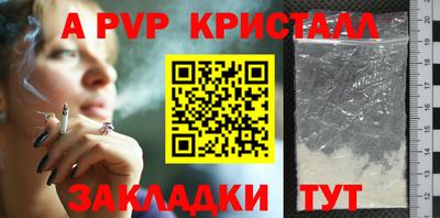 индика Сланцы