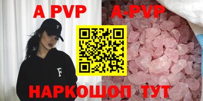 индика Сланцы