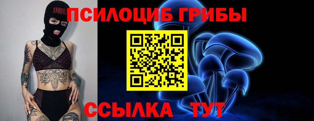 продажа наркотиков  Псилоцибиновые грибы мухоморы  Псилоцибиновые грибы Psilocybe  Вход с VPN  Пыть-Ях 